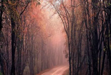 胡荷韬社媒：遗憾未能在工体带走三分，球队已经到达济南备战.