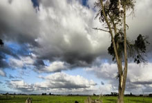 胡荷韬社媒：遗憾未能在工体带走三分，球队已经到达济南备战.