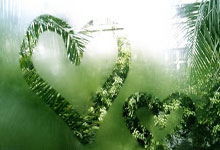 乐鱼体育：上半场大崩盘，曼城女足0-3完败，遭切尔西女足.