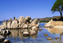 欧冠早报：门神！阿利森9次扑救什琴斯尼8次救险 红军替补创纪录.